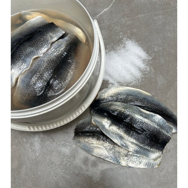 Saltede sildefiletter, 2.500 gram